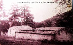 Teniet-El-Haad - Rond-Point Foret de Cedres